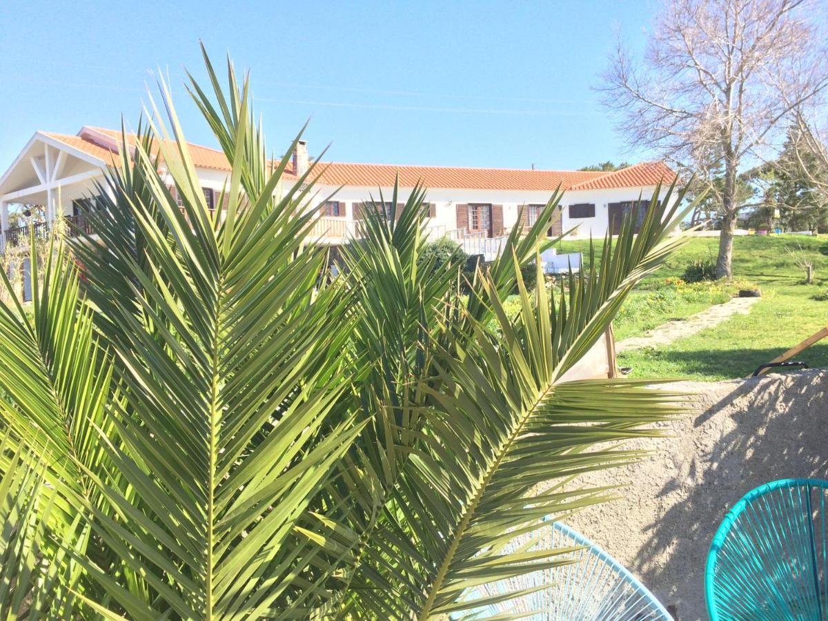 Elemental Ericeira Bed & Breakfast Luaran gambar