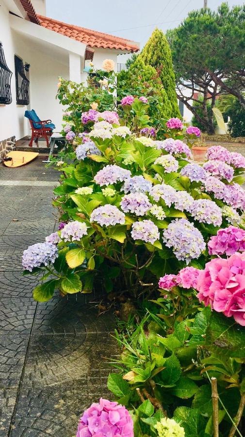 Elemental Ericeira Bed & Breakfast Luaran gambar